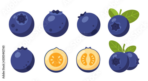 Vibrant blueberries in various perspectives