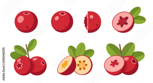 Canvastavla Vibrant cranberries in various stages of cut