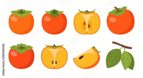 Vibrant persimmon fruit illustration