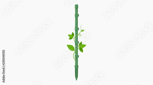 A single green pole supports a vibrant vine with lush leaves. The scene is of growth, nature's gentle guidance.
