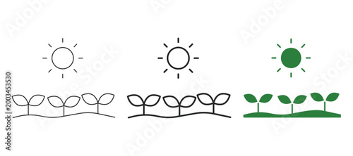 Young plants sprouting web line and solid icon set with seedlings, sun, growth, agriculture and nature concept. Editable stroke