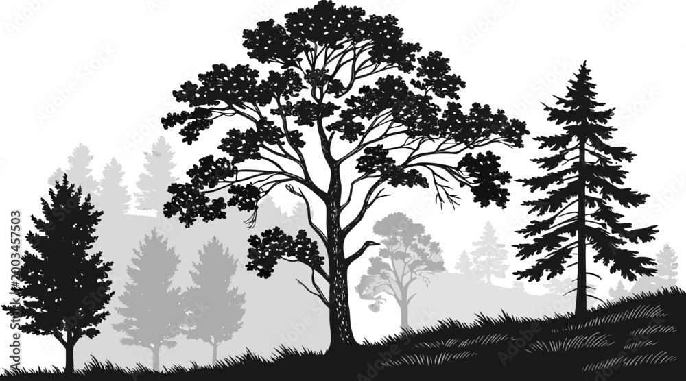 Obraz premium Layered Forest Landscape Black and White Vector with Tree Seamless Nature Pattern Background