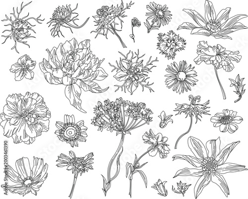 Set of flowers and leaves on a transparent background in vintage style	
