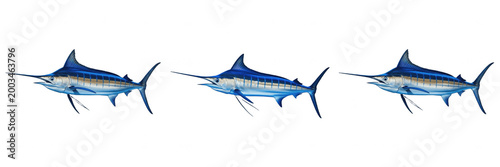 Canvas-taulu Majestic Blue Marlin Swordfish Jumping Fish Isolated PNG, Big Game Fishing Trophy Marine Life for Ocean and Nautical Design