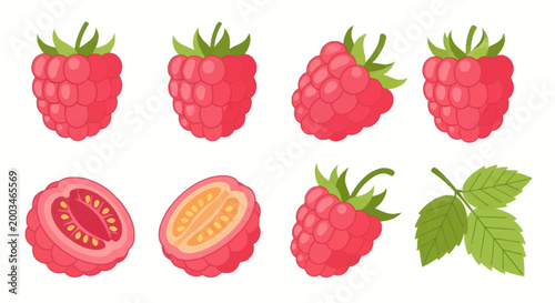 Vibrant vector illustration of raspberries