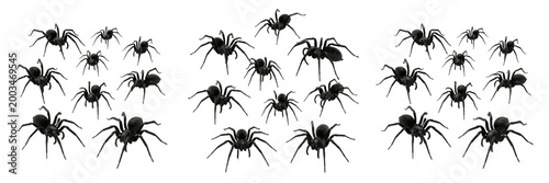Set of Creepy Black Spiders Crawling Isolated PNG, Spooky Halloween Horror Decor Element for Party and Web Design Projects.