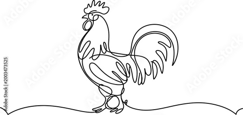 Continuous single line drawing of a rooster standing on a flat ground showing a simple artistic design of a farm bird in a minimalist style Vector, illustration