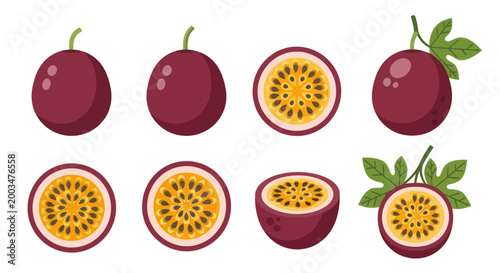 Passion fruit illustration purple fruit set