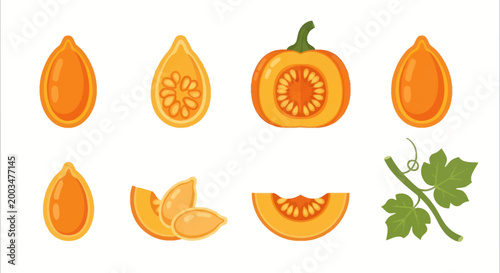 Cuadro en lienzo Pumpkin seeds and slices illustration