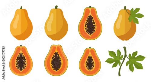 Ripe papaya fruit illustrations