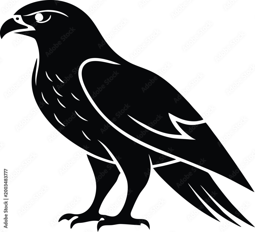 Obraz premium Hawk falcon eagle bird prey silhouette graphic