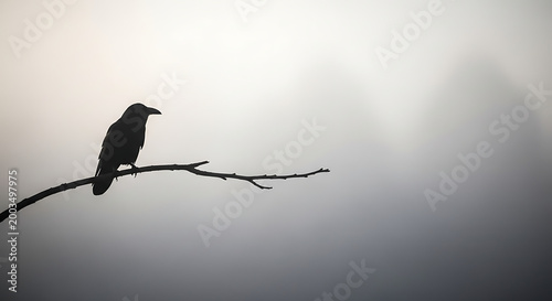 Witchy Natural Minimalist Wallpapers