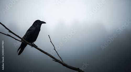 Witchy Natural Minimalist Wallpapers