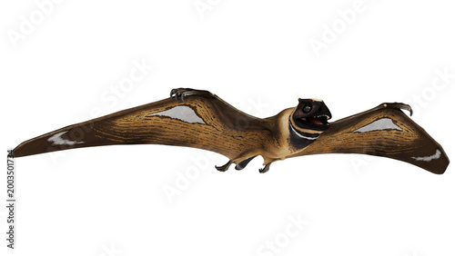 Schilderij op canvas Flying ancient pterosaur with wide wingspan.