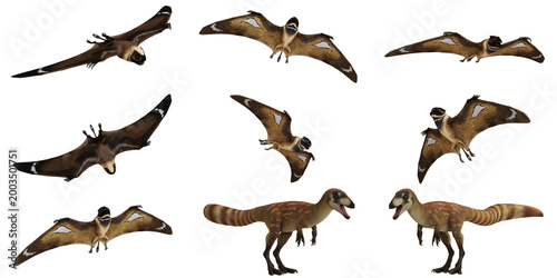 Quadro su tela Flying and ground poses of prehistoric dinosaur.