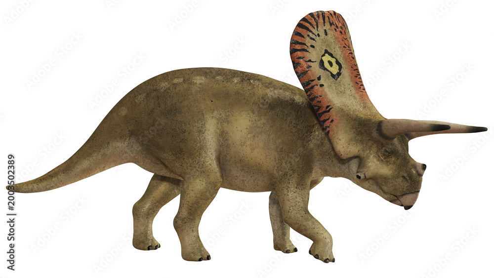 Obraz premium Illustration of a Torosaurus dinosaur.