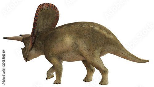 Quadro su tela Prehistoric dinosaur with a large frill on display.