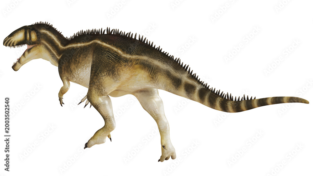 Fototapeta premium Realistic dinosaur illustration with spiky back.