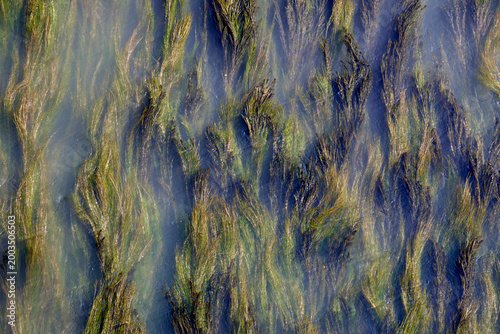 blue water background