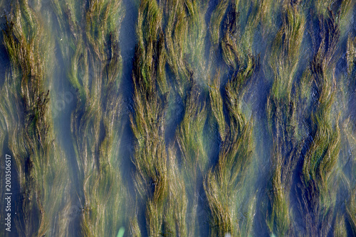 texture of the blue river