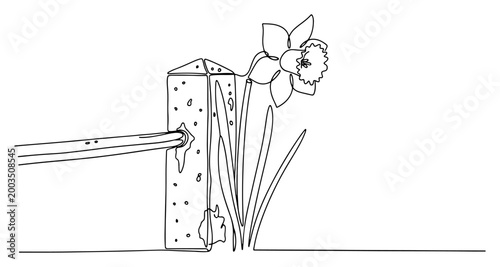 Daffodil flower growing by concrete post continuous line art, minimalist spring narcissus bloom illustration