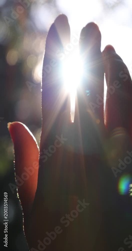 Female hand touching the sun - slow motion, sunlight passing through fingers, pine forest mountain at sunset, closeup shining sun and the branches of the trees, season travel nature idyllic