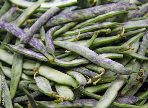 Fresh green string beans with purple stripes close-up. Raw, organic flat string beans. Raw vegetables from the garden.