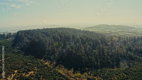 Drone view of spring countryside forest park