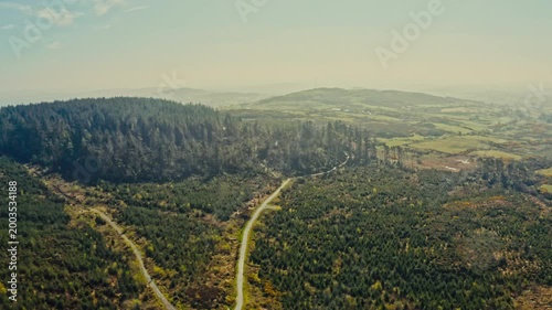 Drone view of spring countryside forest park