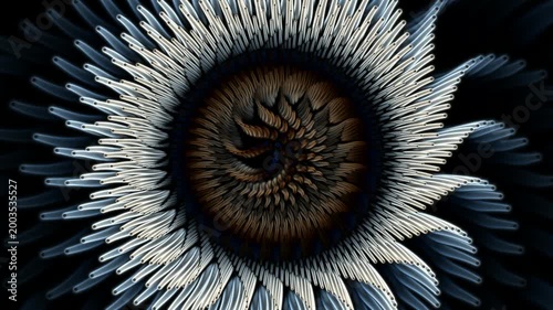 Monochrome Fractal Spiral Background Loop 4K Hypnotic Radial Texture