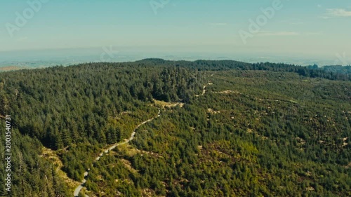 Drone view of spring countryside forest park
