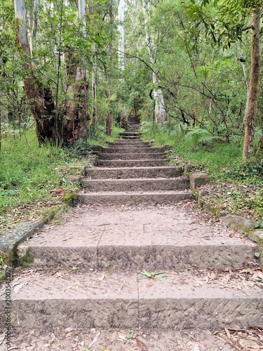 Hornsby Heritage Steps. Dressed sandstone steps from the Great Depression Era in the Australian Bush north of Sydney Australia