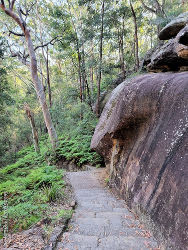 Hornsby Heritage Steps. Dressed sandstone steps from the Great Depression Era in the Australian Bush north of Sydney Australia