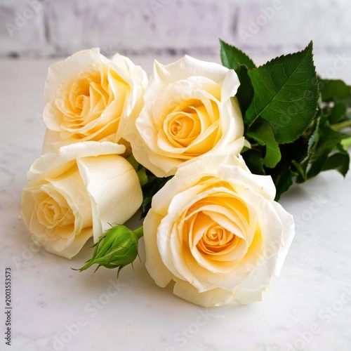 Fresh Yellow Roses Arranged on a Simple Surface With Green Leaves in View at ...