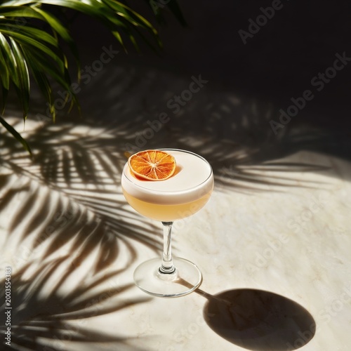Cocktail With Citrus Slice on a Table With Plant Shadows in a Warm Setting