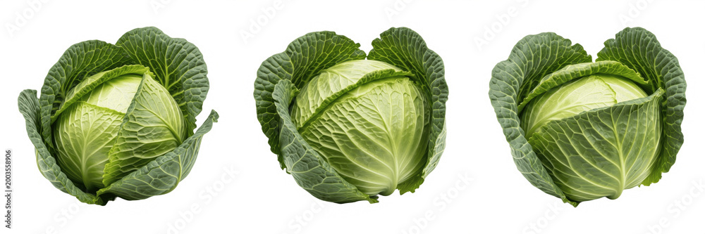 Obraz premium Set and collection of Fresh Green Cabbage isolated on white transparent png background