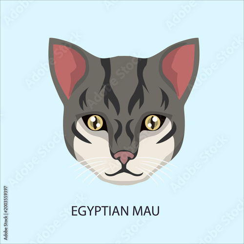 Obraz na płótnie Egyptian Mau Cat Breed Face Portrait