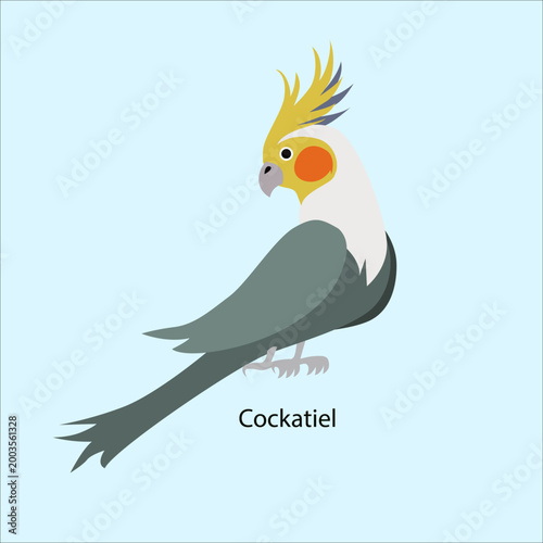 Foto Grey And Yellow Cockatiel Parro