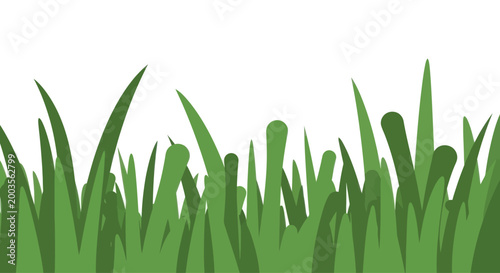 Green Grass Border - Fresh Summer Lawn Edge Illustration