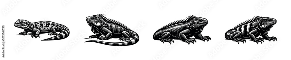 Fototapeta premium Black and white vector illustrations of various iguanas and lizards in silhouette style