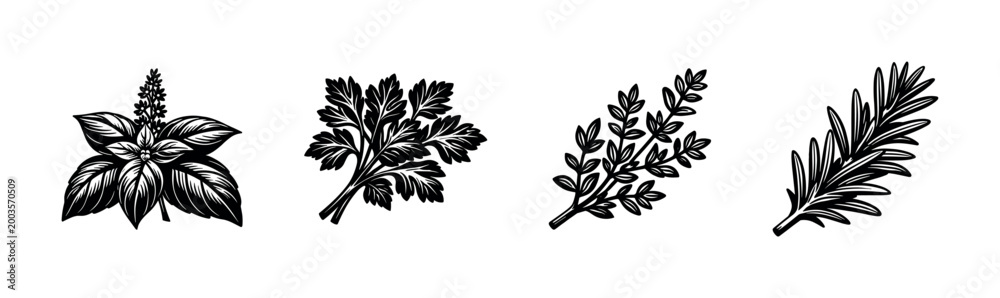 Naklejka premium Herbal illustrations in black and white silhouette style featuring basil rosemary parsley and thyme botanical elements
