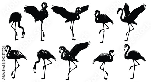 Flamingo silhouettes set with various poses including standing, walking, and spreading wings isolated on white background.