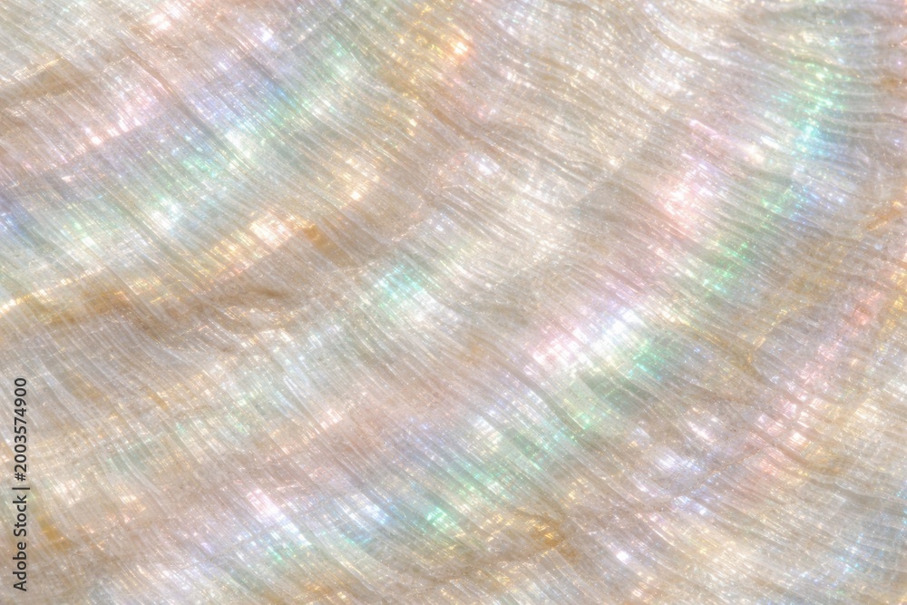 Fototapeta premium Mother of Pearl Shell Texture Seamless Pattern. Close-up nacre shell surface detail. Iridescent organic material design. Realistic pearl shell texture background. Detailed glossy macro close-up. 