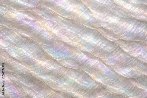 Mother of Pearl Shell Texture Seamless Pattern. Close-up nacre shell surface detail. Iridescent organic material design. Realistic pearl shell texture background. Detailed glossy macro close-up. 