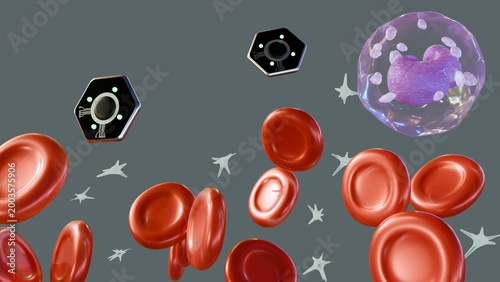 Tableau sur toile A 3D rendering of microscopic hexagonal biosensors floating amongst red blood cells and a white blood cell, depicting future medical diagnostics and in-vivo monitoring
