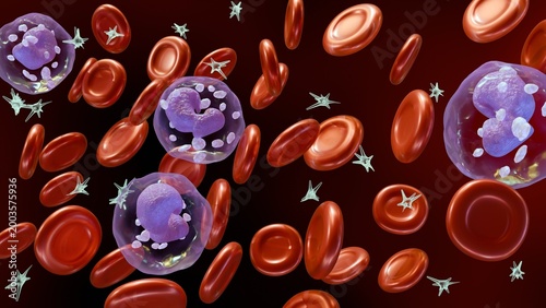 Foto A 3D medical illustration of depicts various blood components including red blood cells, white blood cells, and platelets