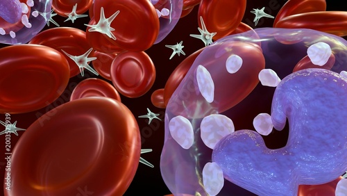 Bild auf Leinwand A 3D medical illustration of depicts various blood components including red blood cells, white blood cells, and platelets