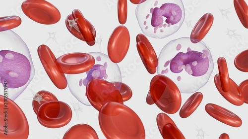 Foto A 3D medical illustration of depicts various blood components including red blood cells, white blood cells, and platelets