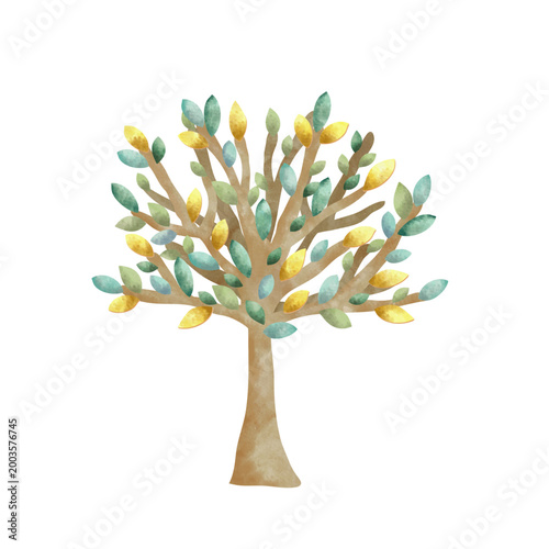 Baum