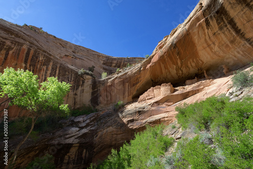 Vászonkép Ancestral Puebloan cliff dwelling at Monarch Cave in Comb Ridge, Utah
